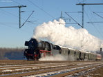 50 3655 auf der Fahrt zwischen Oelde und Neubeckum