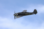 Focke-Wulf FW-190A-8/N, D-FMFW