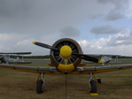 Trainings und Schulflugzeug T-6