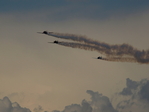 3 North American Harvard T-6 (D-FAME, D-FUKK, N7646S)im Formationsflug