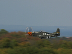 P51D Mustang, Jagdflugzeug aus dem 2.Weltkrieg, Bauzeit 1942-1948, im Tiefflug über der Startbahn.