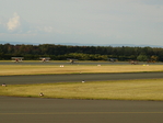 6 Ultraleichtflugzeug Platzer Kiebitz beim Start