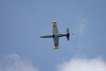 Die Albatros war das einzige Strahlflugzeug auf der Airshow