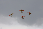 Formation mit 4 Fokker S-11