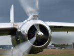 B25