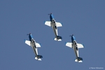 Patrouille Cartouche-Dore