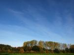 Herbstwald vor blauem Himmel