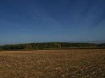 Herbstwald vor blauem Himmel