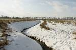 Bach in der verschneiten Landschaft