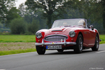 Austin Healey