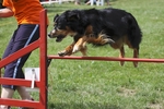 hp-img_0093_900.jpg