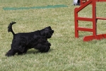 hp-img_0152_900.jpg