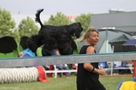 hp-img_0157_900.jpg