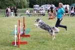hp__img_8680_900.jpg
