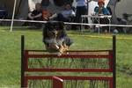 hp__img_8746_900.jpg